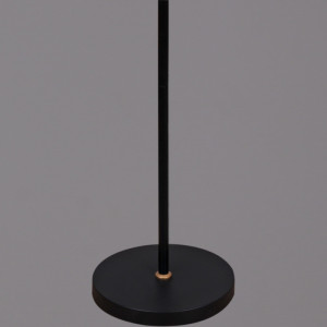 Торшер  00301-0.6-01D BK