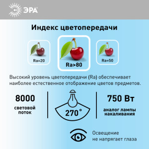 Лампочка светодиодная  LED POWER T160-100W-6500-E27/E40