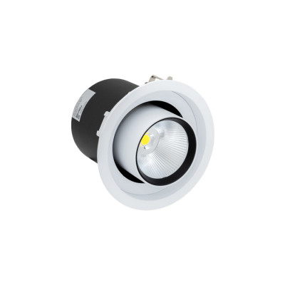 Точечный светильник SPL SPL-R1-25-NW